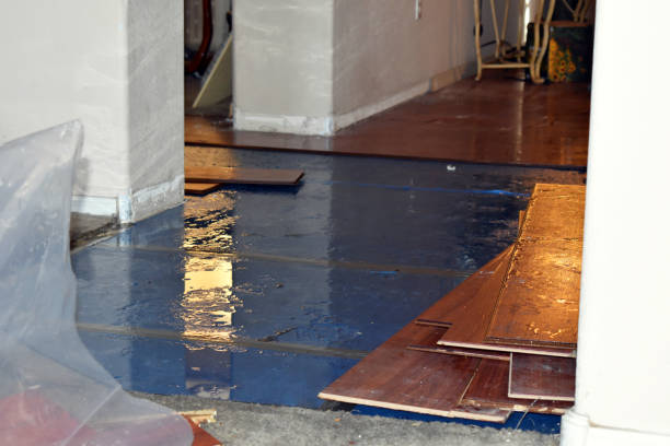 Professional Water Damage Repair technician working in North Hills, NY